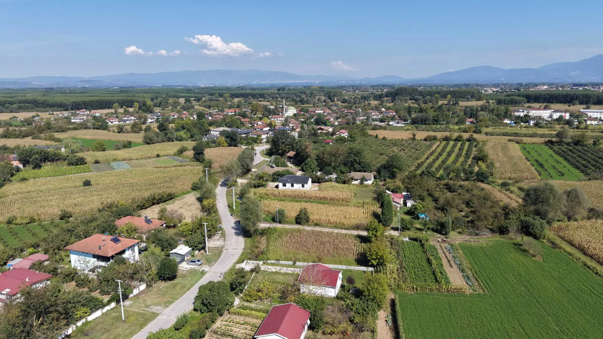Property image 23
