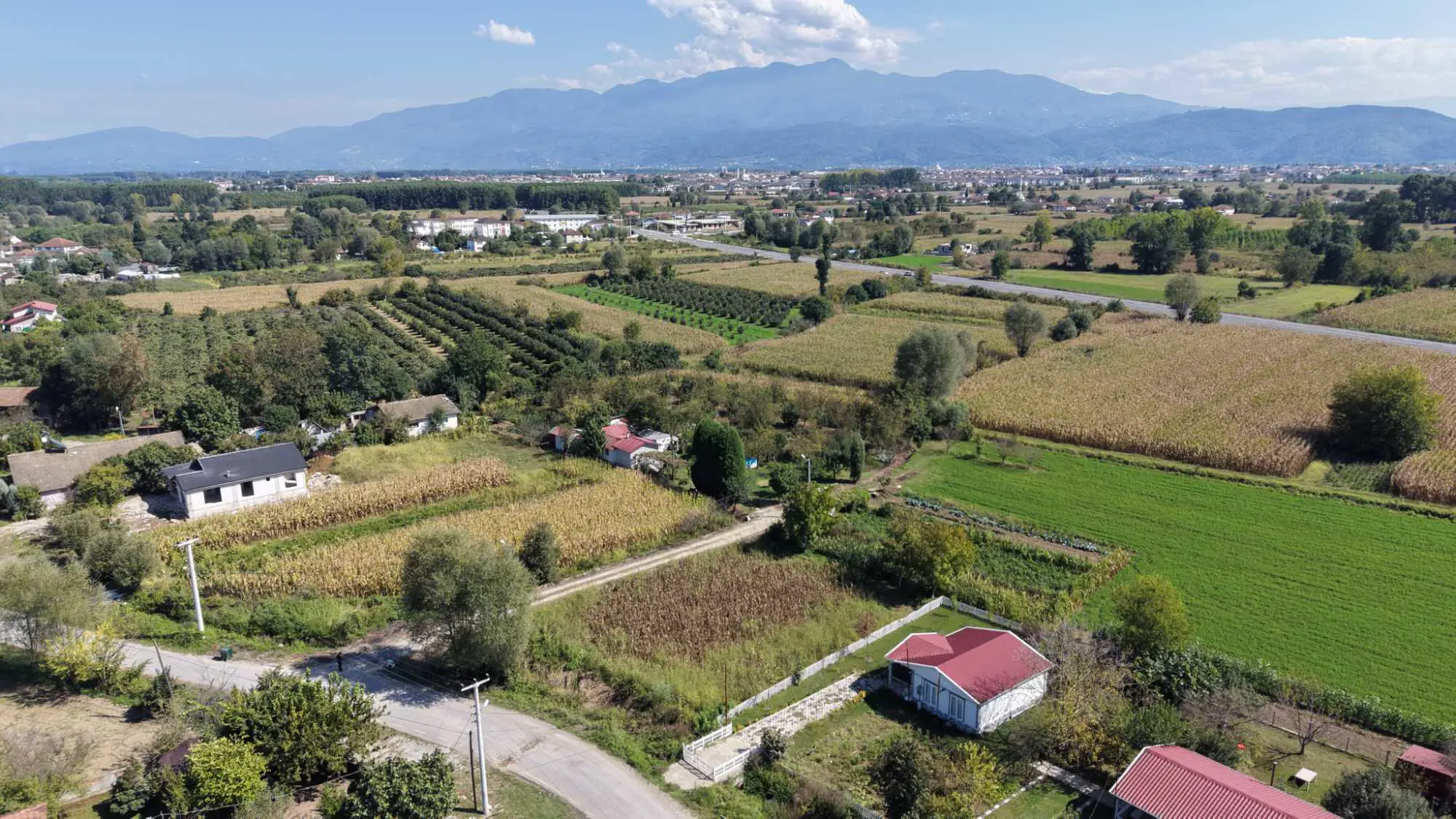 Property image 24