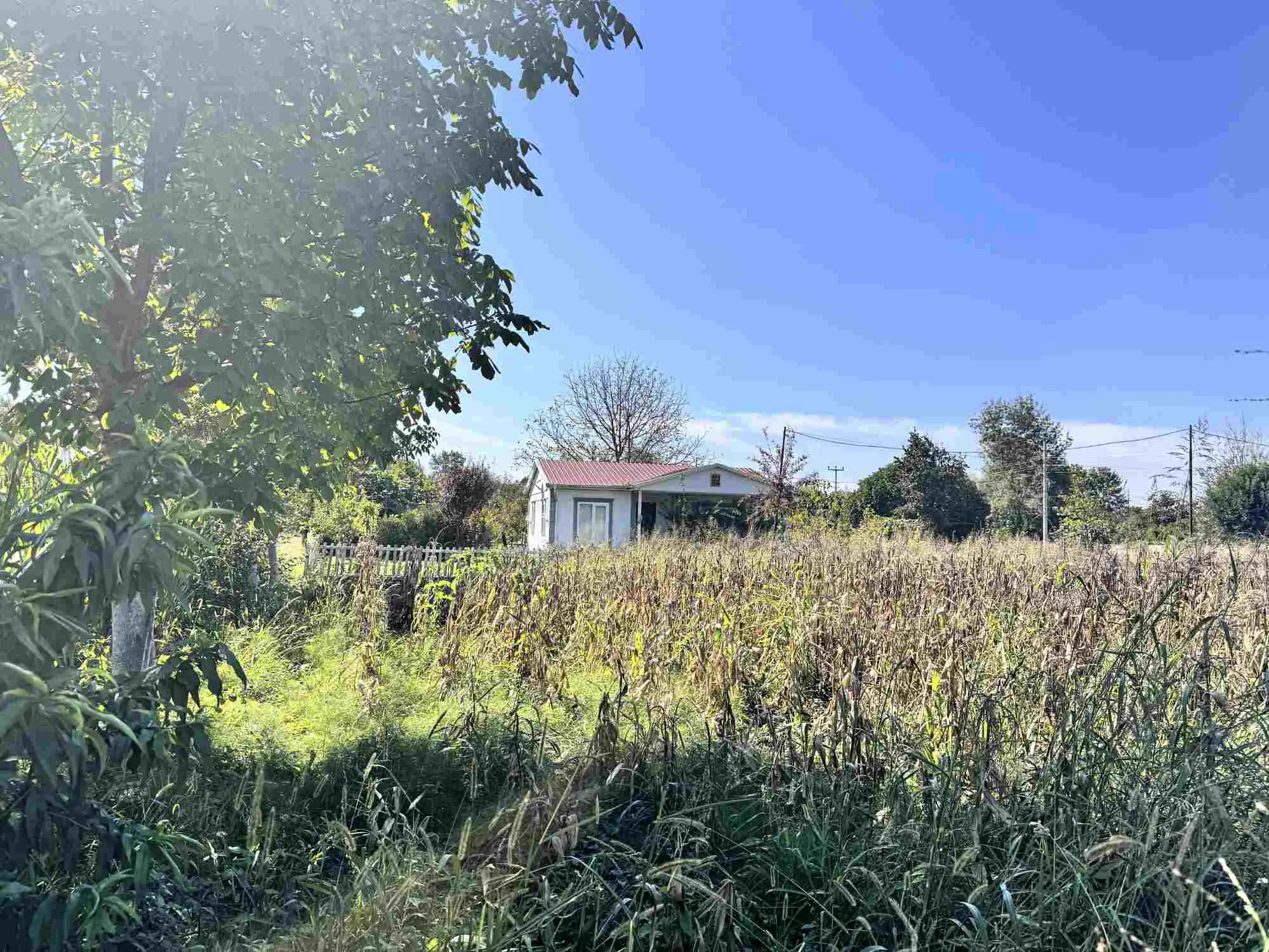 Property image 34