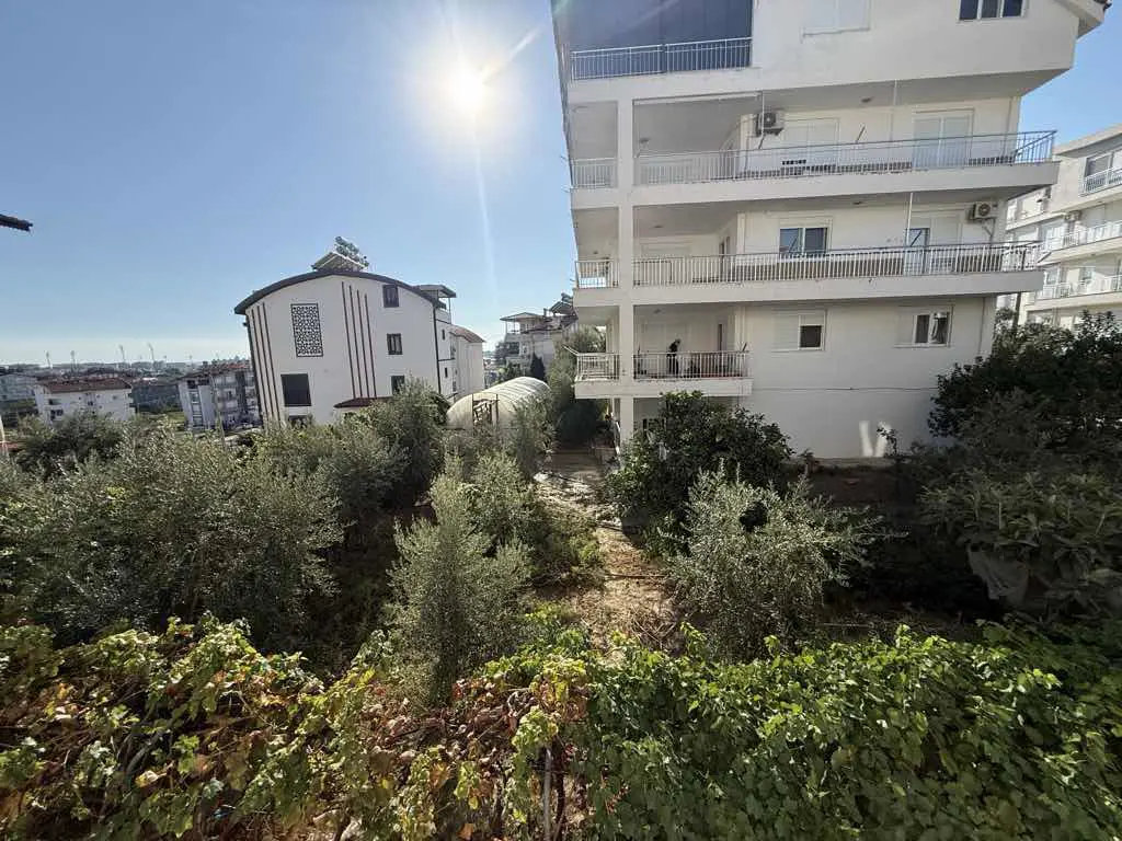 Property image 19