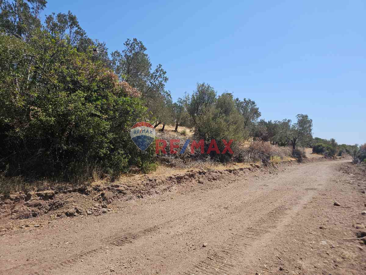 ASOS SOKAKAĞZINDA, MİDİLLİ MANZARALI, DENIZE YAKIN, SATILIK ARAZİ