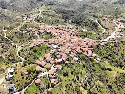 SEFERİHİSAR BEYLER KÖY MERKEZİNE 300 M ZEYTİN AĞAÇLI TARLA
