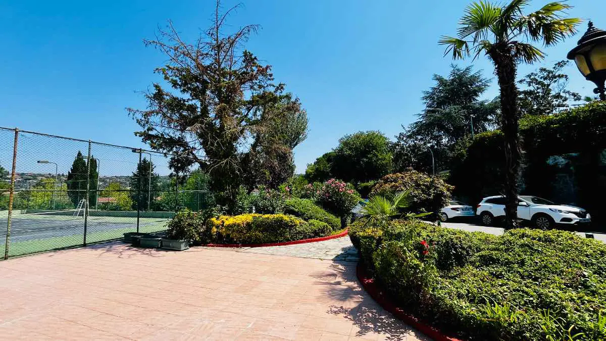 Property image 17