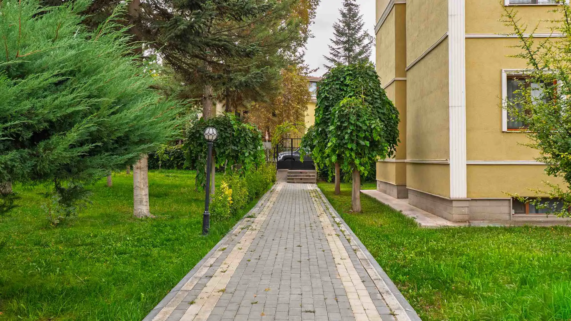 Property image 50