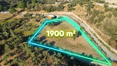 KEMALPAŞA YEŞİLKÖY’DE ZEYTİNLİK
