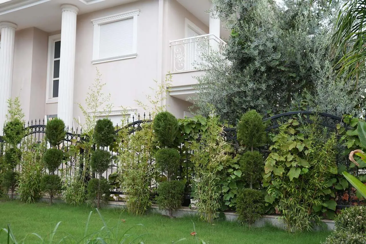 Property image 24