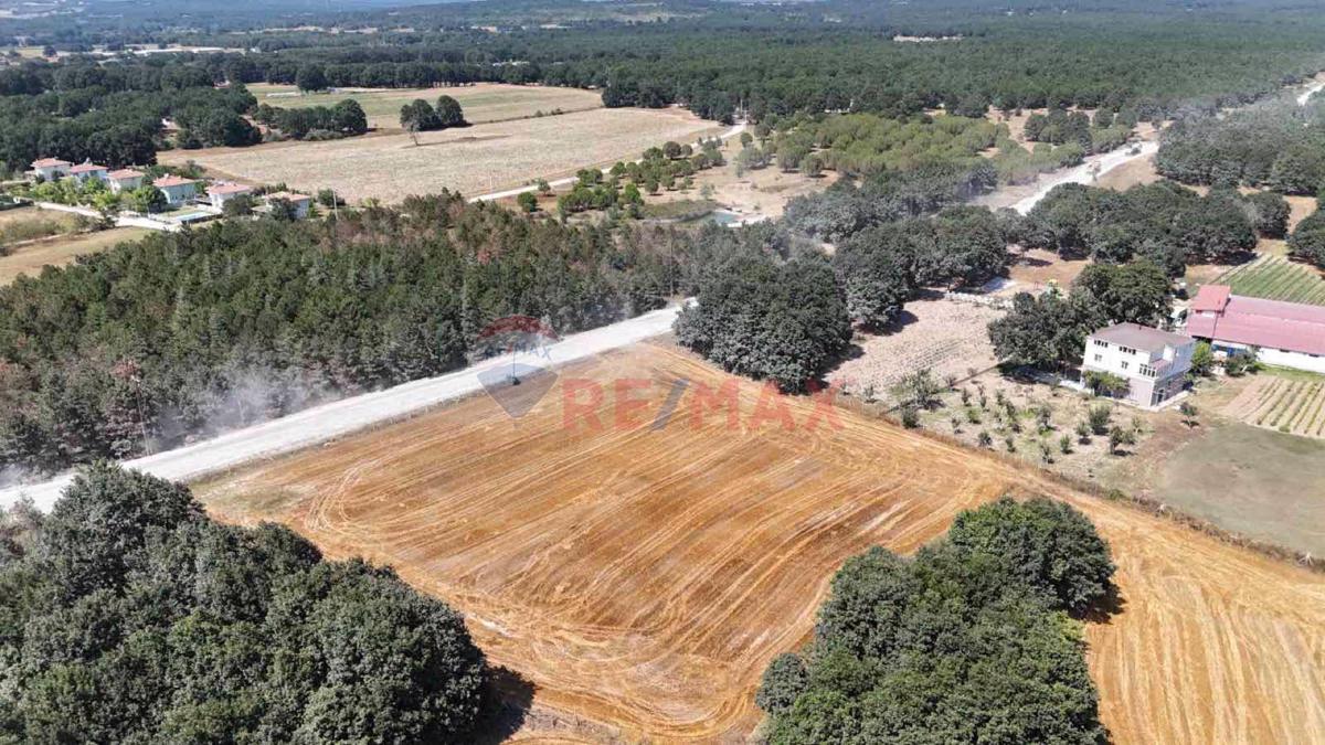 Tekirdağ pazarcık ta yatırımlık tarla