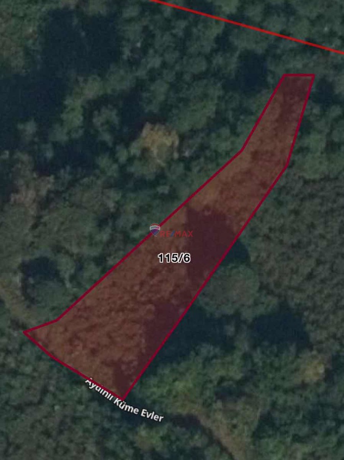 VAKFIKEBİR YAYLACIK FINDIK BAHÇESİ 1954,35 M2