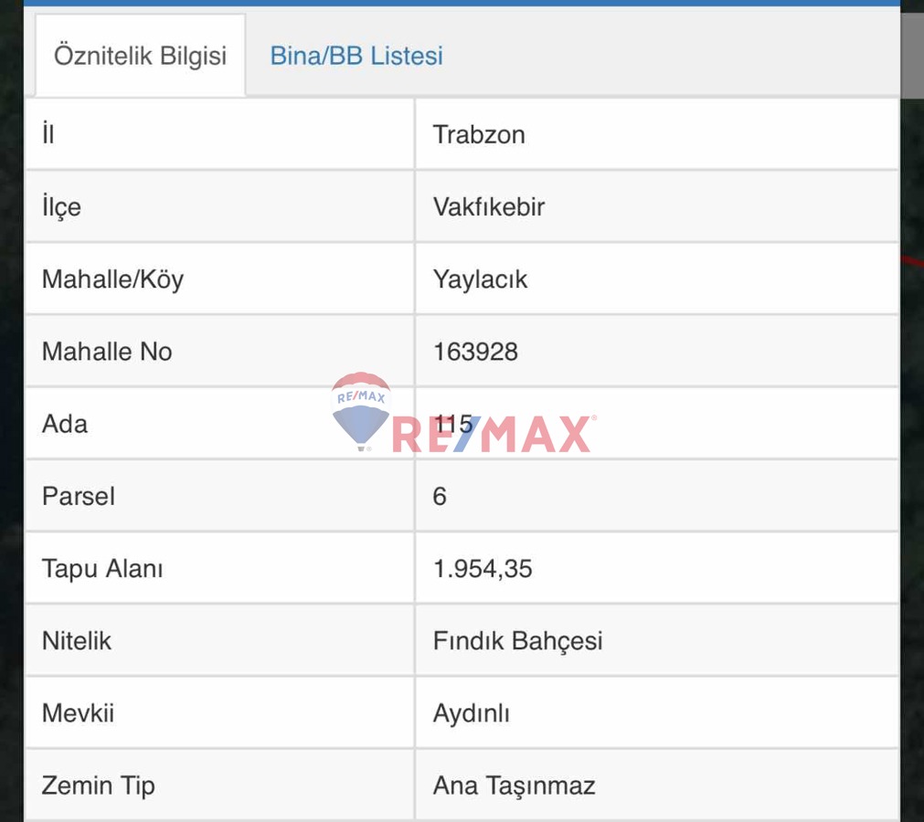 VAKFIKEBİR YAYLACIK FINDIK BAHÇESİ 1954,35 M2