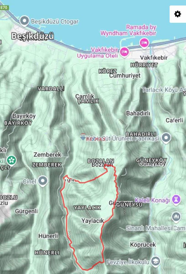 VAKFIKEBİR YAYLACIK FINDIK BAHÇESİ 1954,35 M2