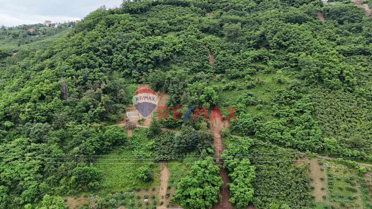 DOĞANÇAY 'DA YOLU AÇILMIŞ 830 M2 ARAZI