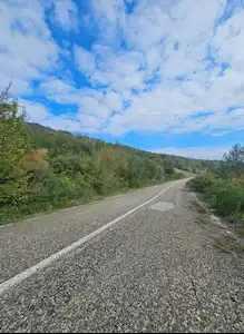 SINOP SAMSUN YOLUNA CEPHELI 3159M2 TARLA