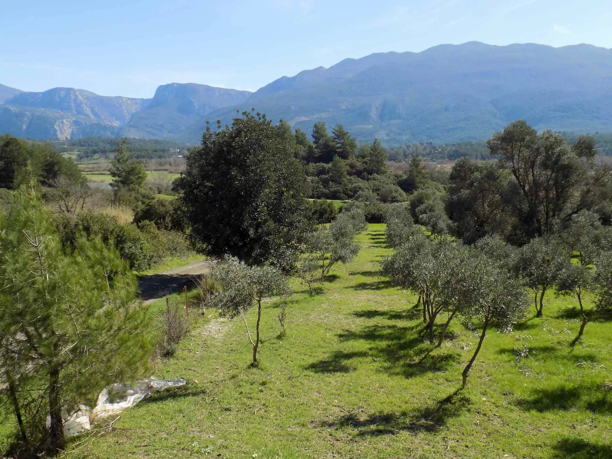 Property image 10