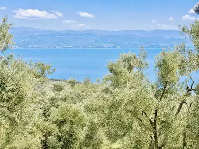 REMAX LEON MUDANYA KUMYAKA DA 2506 M2 SATILIK ZEYTİNLİK