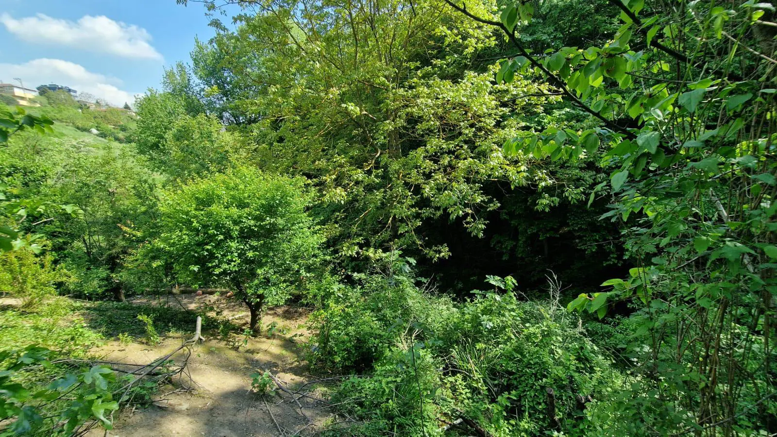 Property image 27