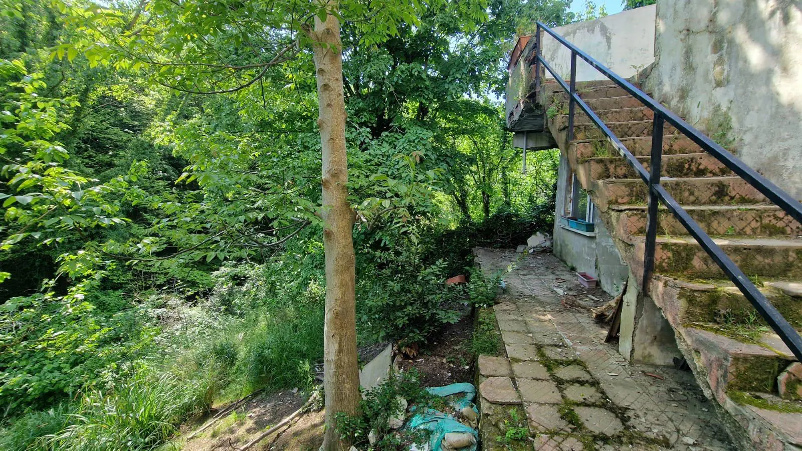 Property image 29