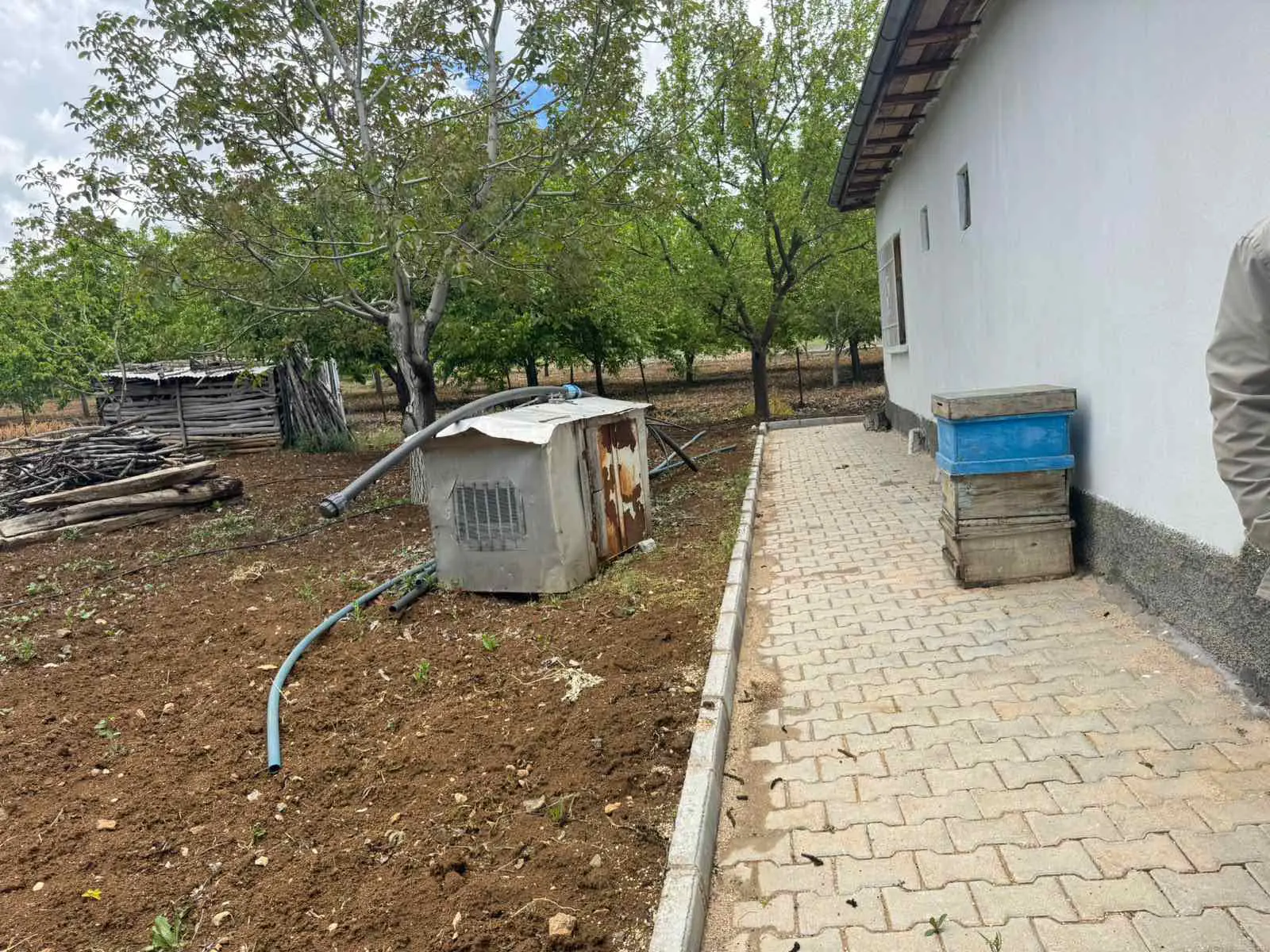 Property image 19