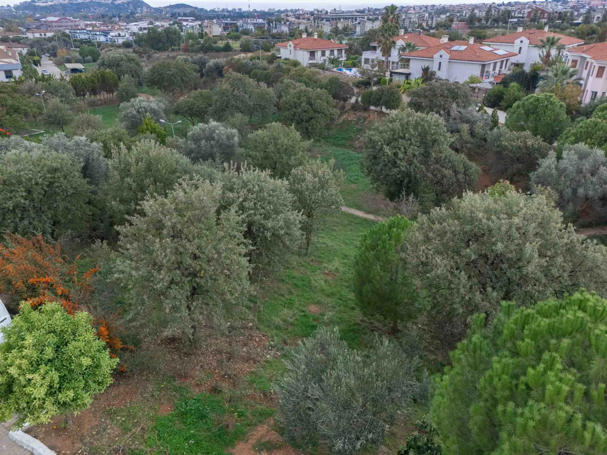 Property image 39