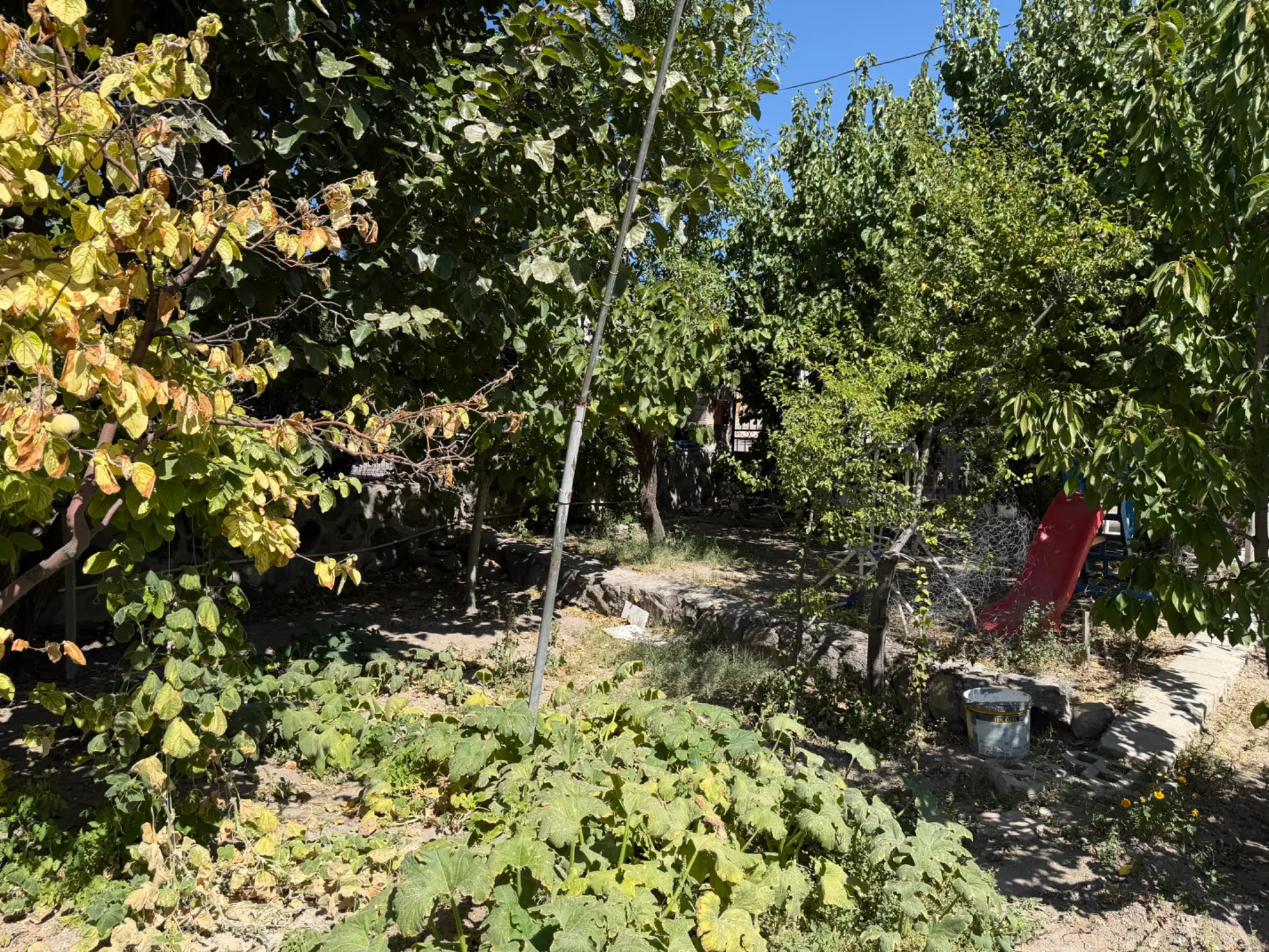 Property image 41