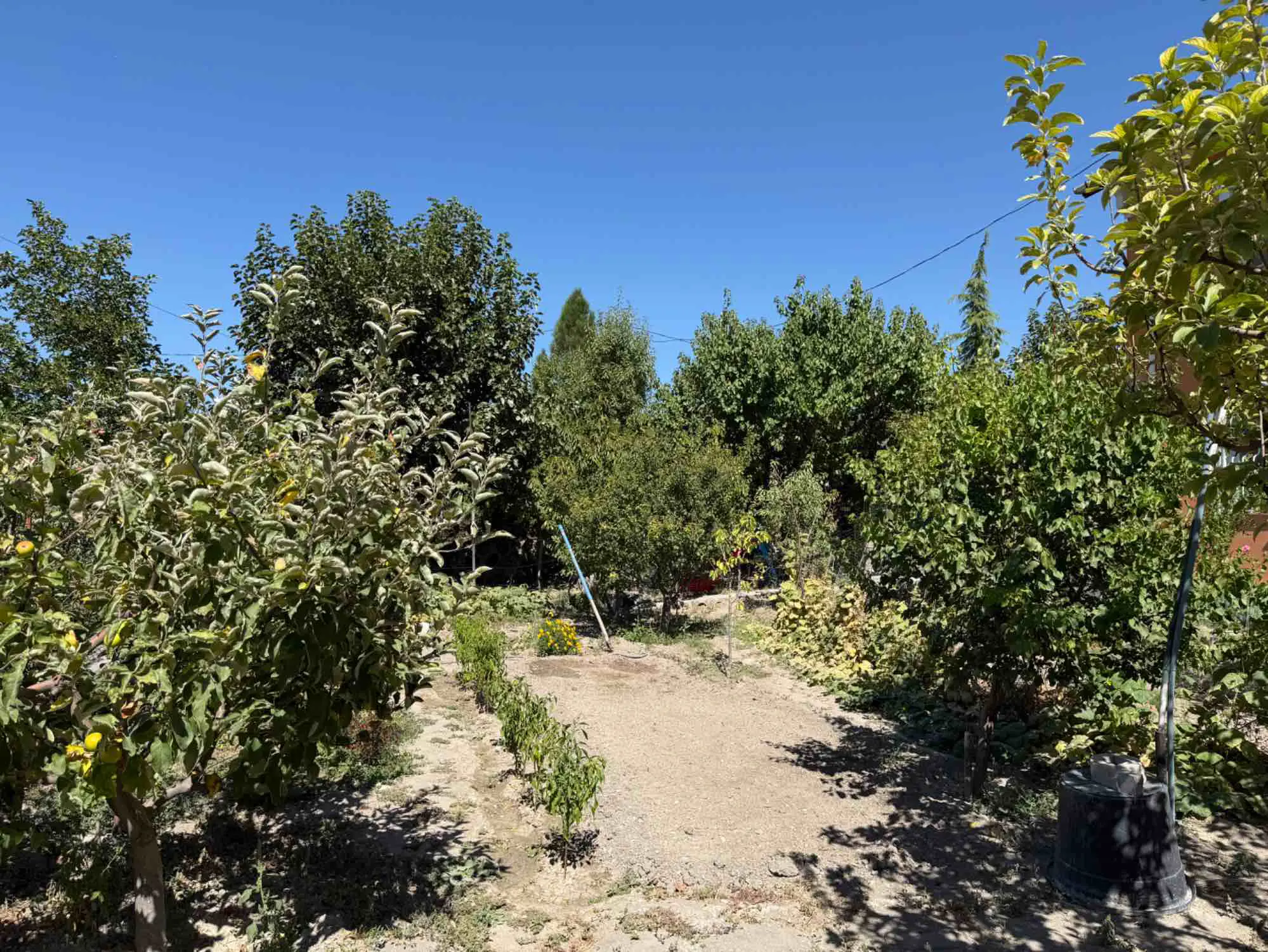 Property image 39