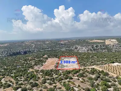 REMAX AVLU'DAN ERDEMLİ AYAŞ’TA 2.988 M² SATILIK TARLA