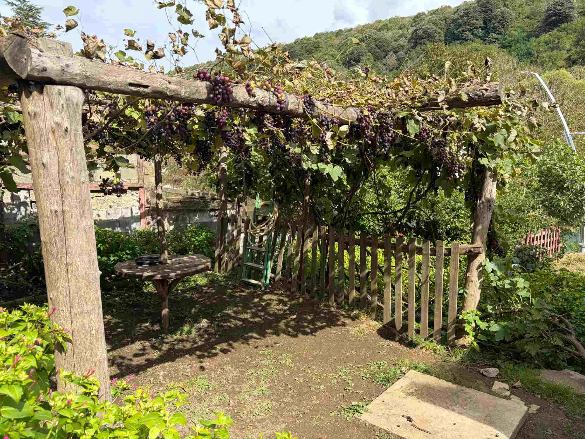 Property image 21