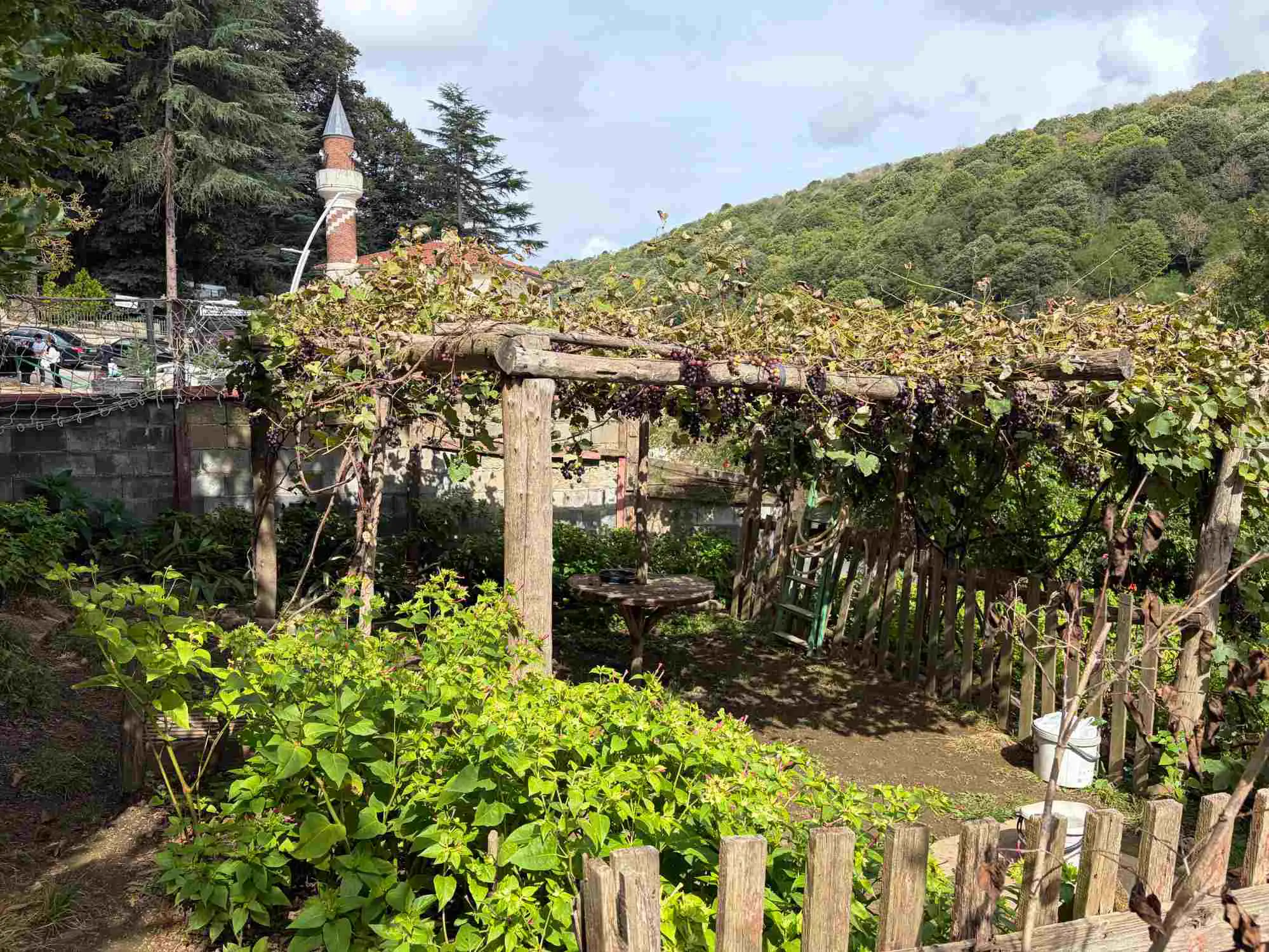 Property image 23
