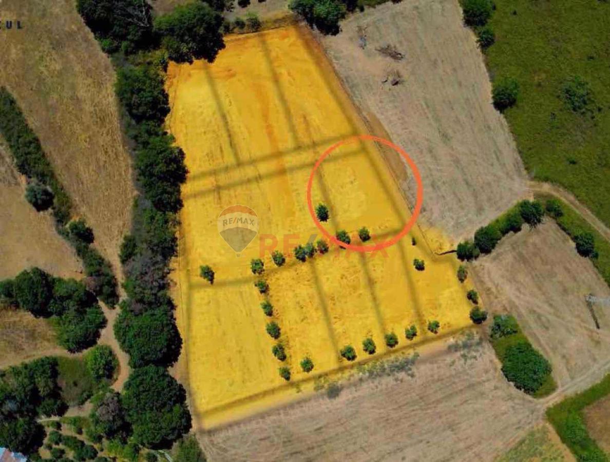 REMAX R T MDEN SATILIK DEN Z MANZARALI TARLA REMAX R T MDEN SATILIK DEN Z MANZARALI TARLA