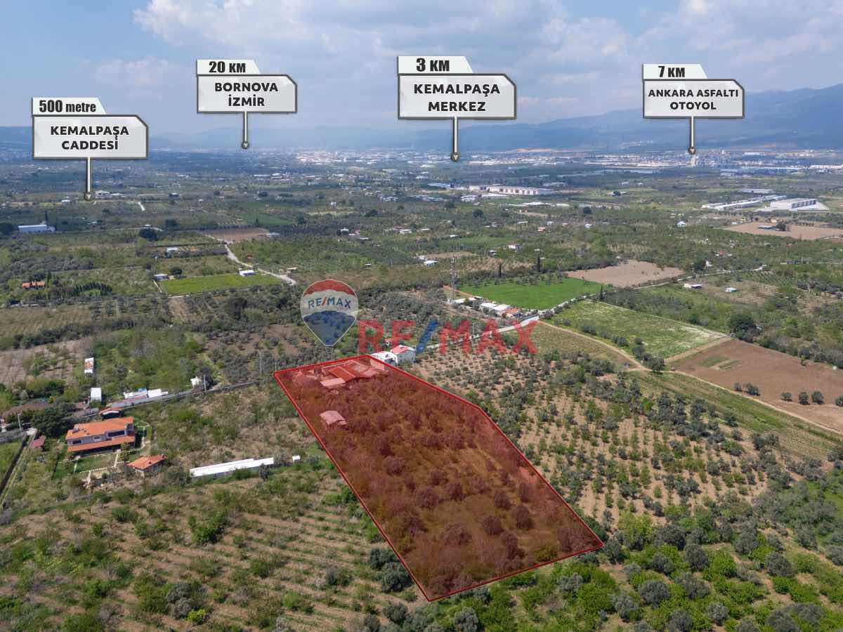 KEMALPAŞA ÖRNEKKÖY MAH.10 DÖNÜM ARAZİ İÇİNDE KURULU ÇİFTLİK