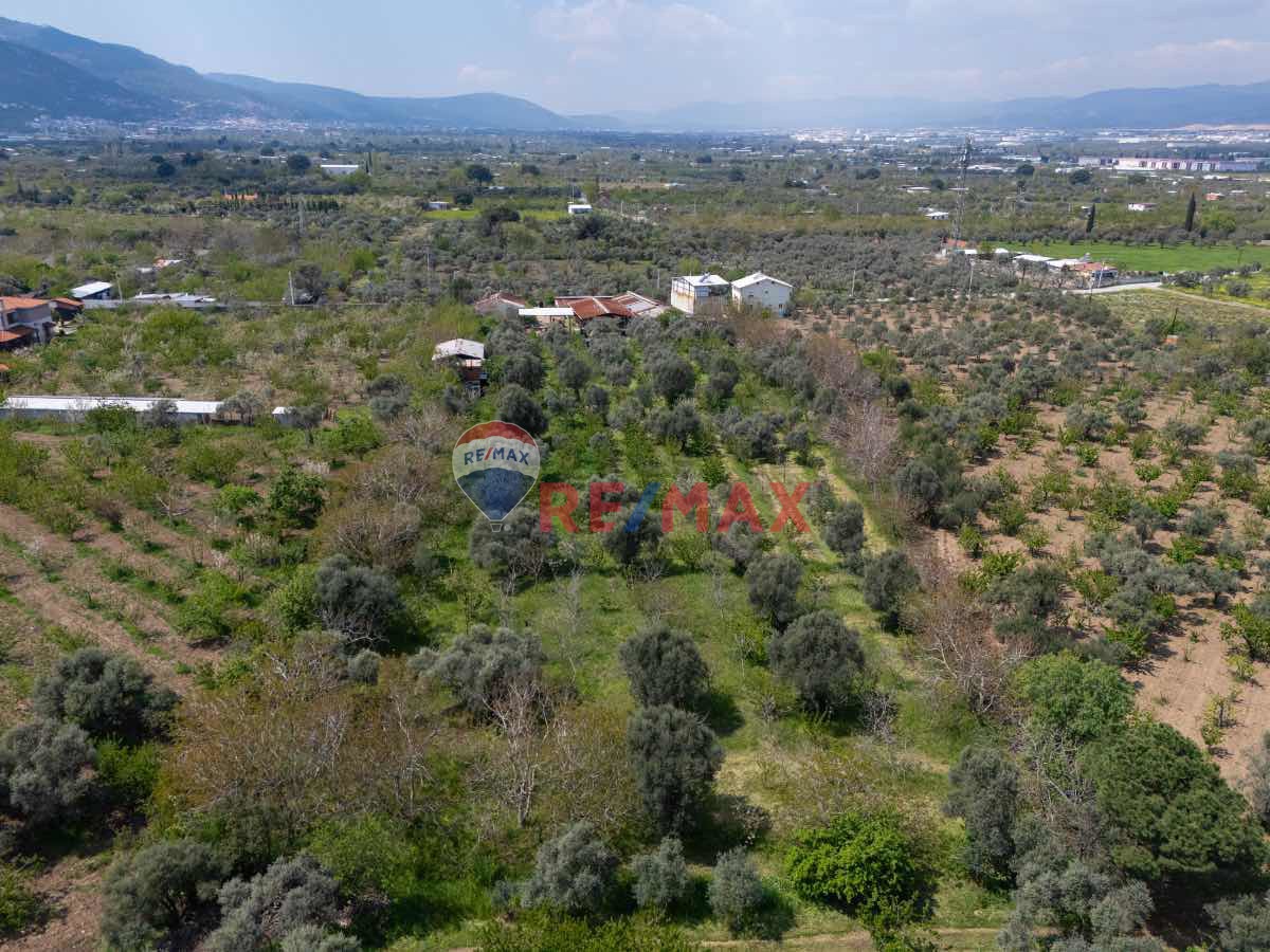 KEMALPAŞA ÖRNEKKÖY MAH.10 DÖNÜM ARAZİ İÇİNDE KURULU ÇİFTLİK