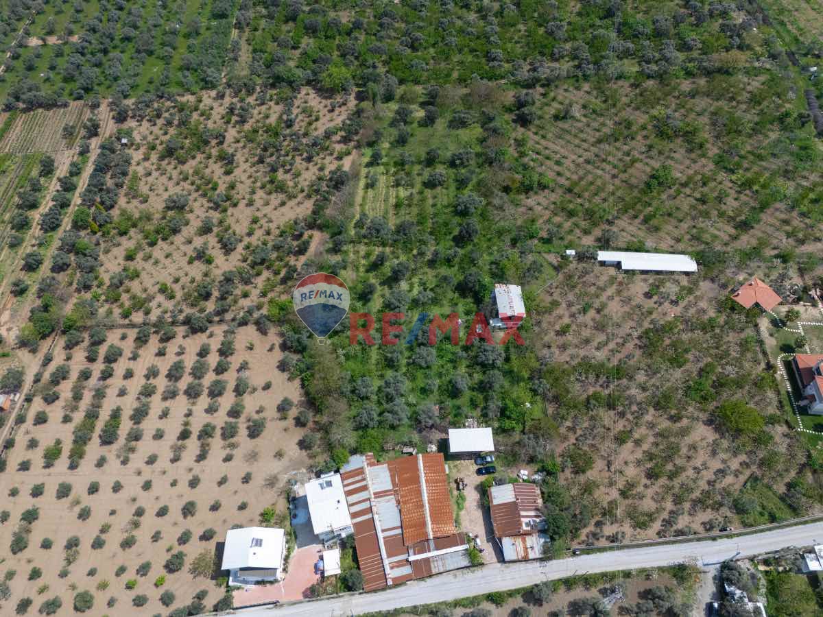 KEMALPAŞA ÖRNEKKÖY MAH.10 DÖNÜM ARAZİ İÇİNDE KURULU ÇİFTLİK