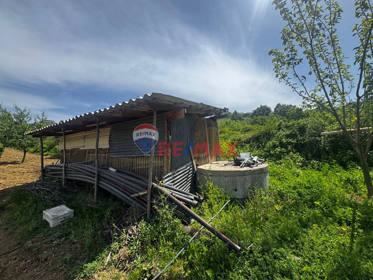 Property image 17
