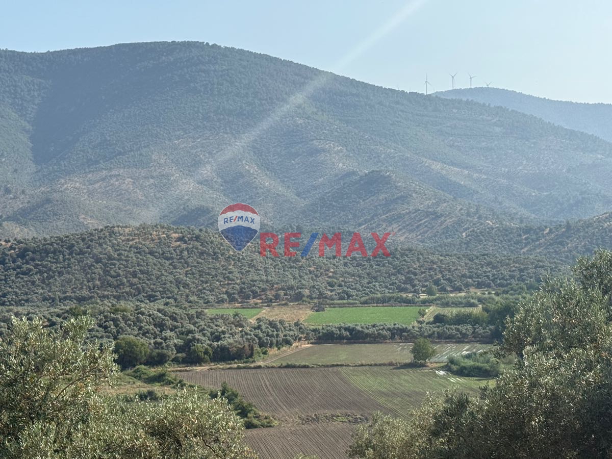 MİLAS BAFA’DA SATILIK 5617M2 TARLA