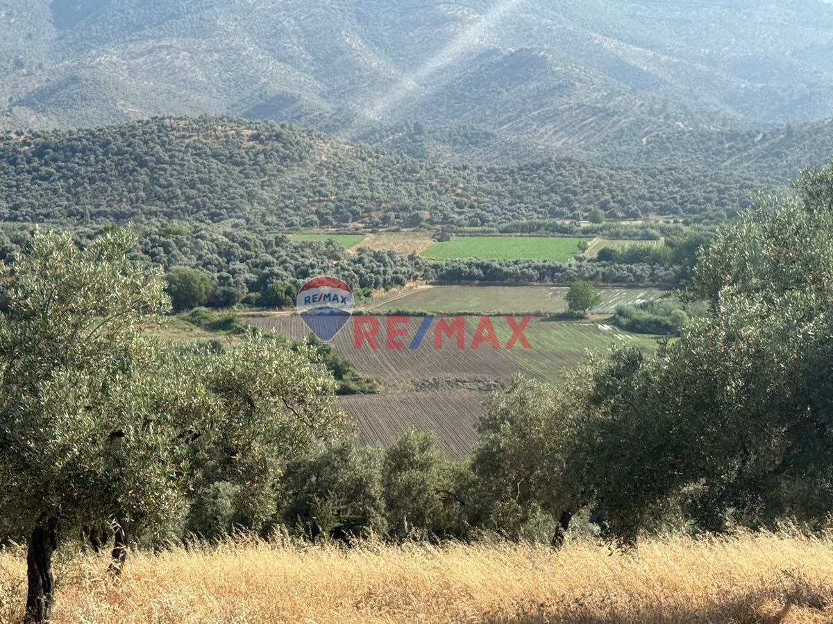 MİLAS BAFA’DA SATILIK 5617M2 TARLA