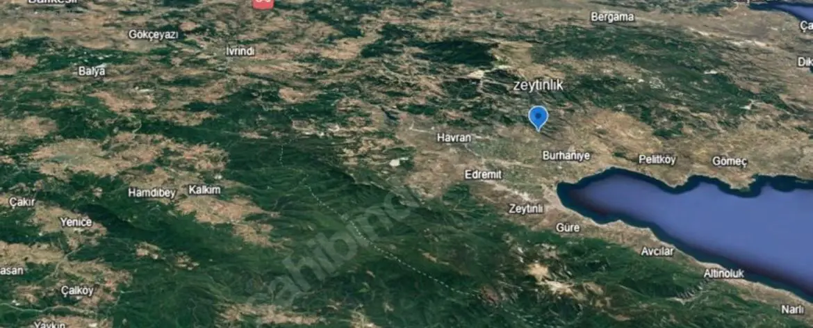 BALIKESİR BURHANİYE'DE DENİZ GÖREN 8 DÖNÜM ZEYTİNLİK 
