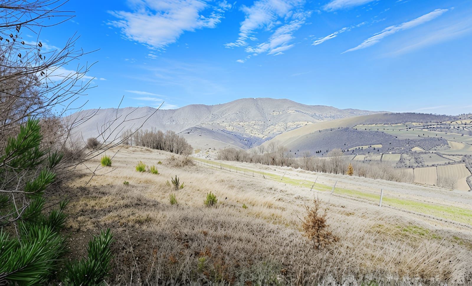 AKALAN MH. DENİZ VE DOĞA MANZARALI SATILIK TARLA