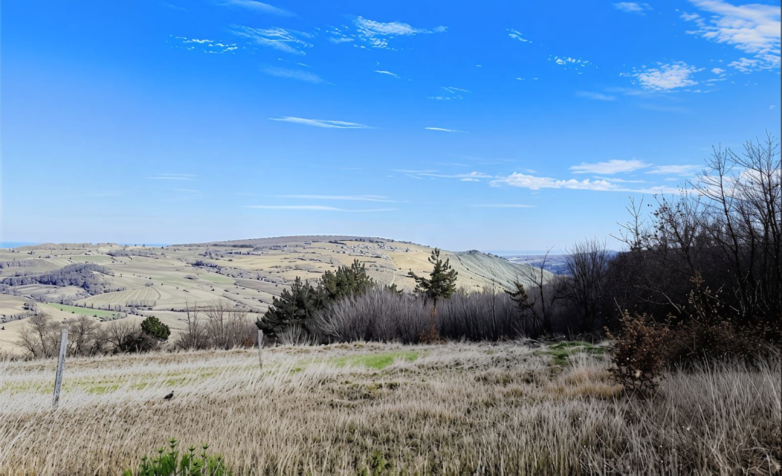 AKALAN MH. DENİZ VE DOĞA MANZARALI SATILIK TARLA