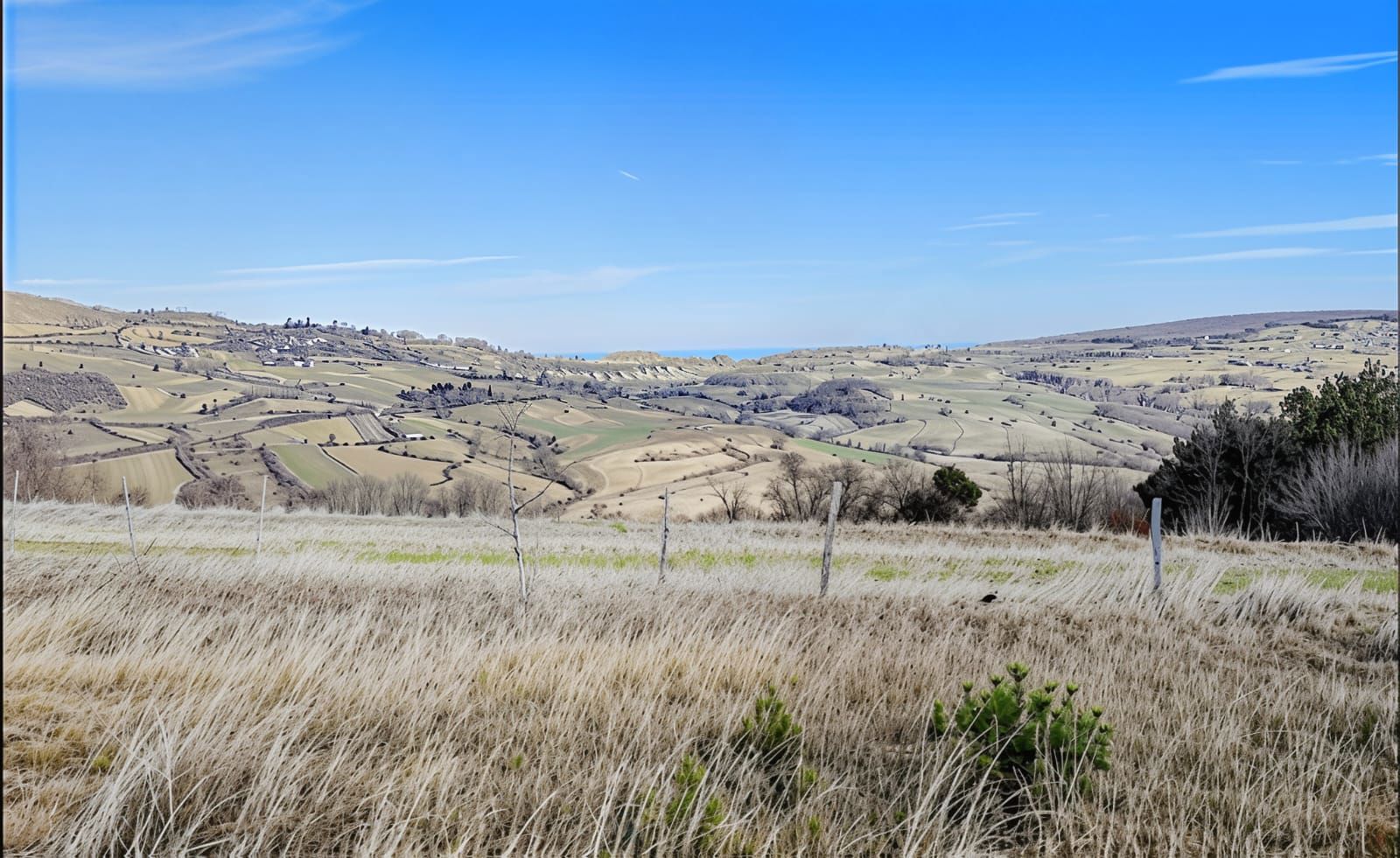 AKALAN MH. DENİZ VE DOĞA MANZARALI SATILIK TARLA