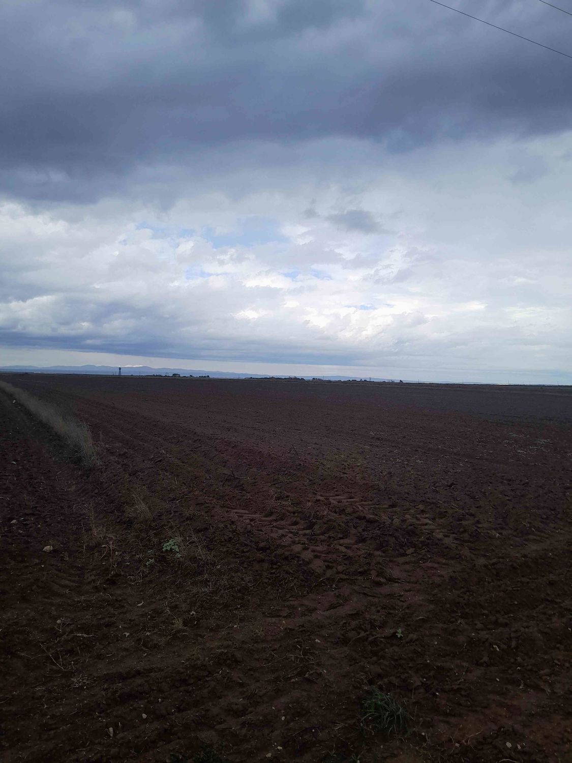 REMAX LAND DAN SARAY GÖÇERLERDE SATILIK TARLA