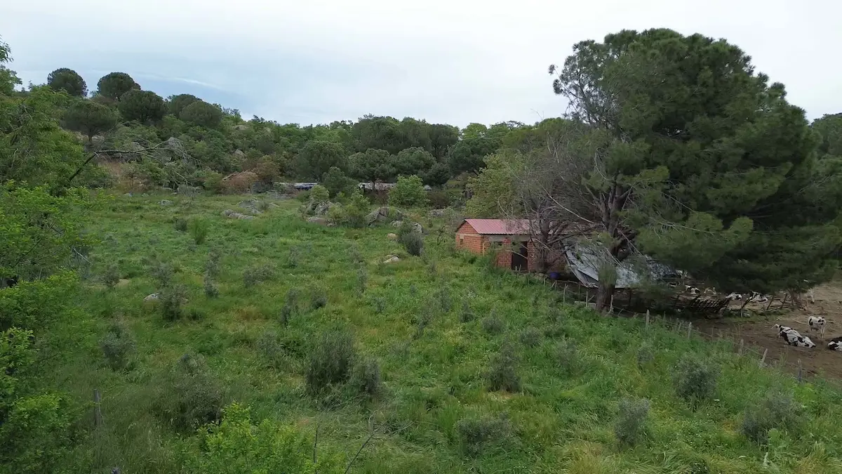 BERGAMA KOZAK YAYLASINDA %50 KÖY İÇİ İMARLI 1.087 M² ARSA