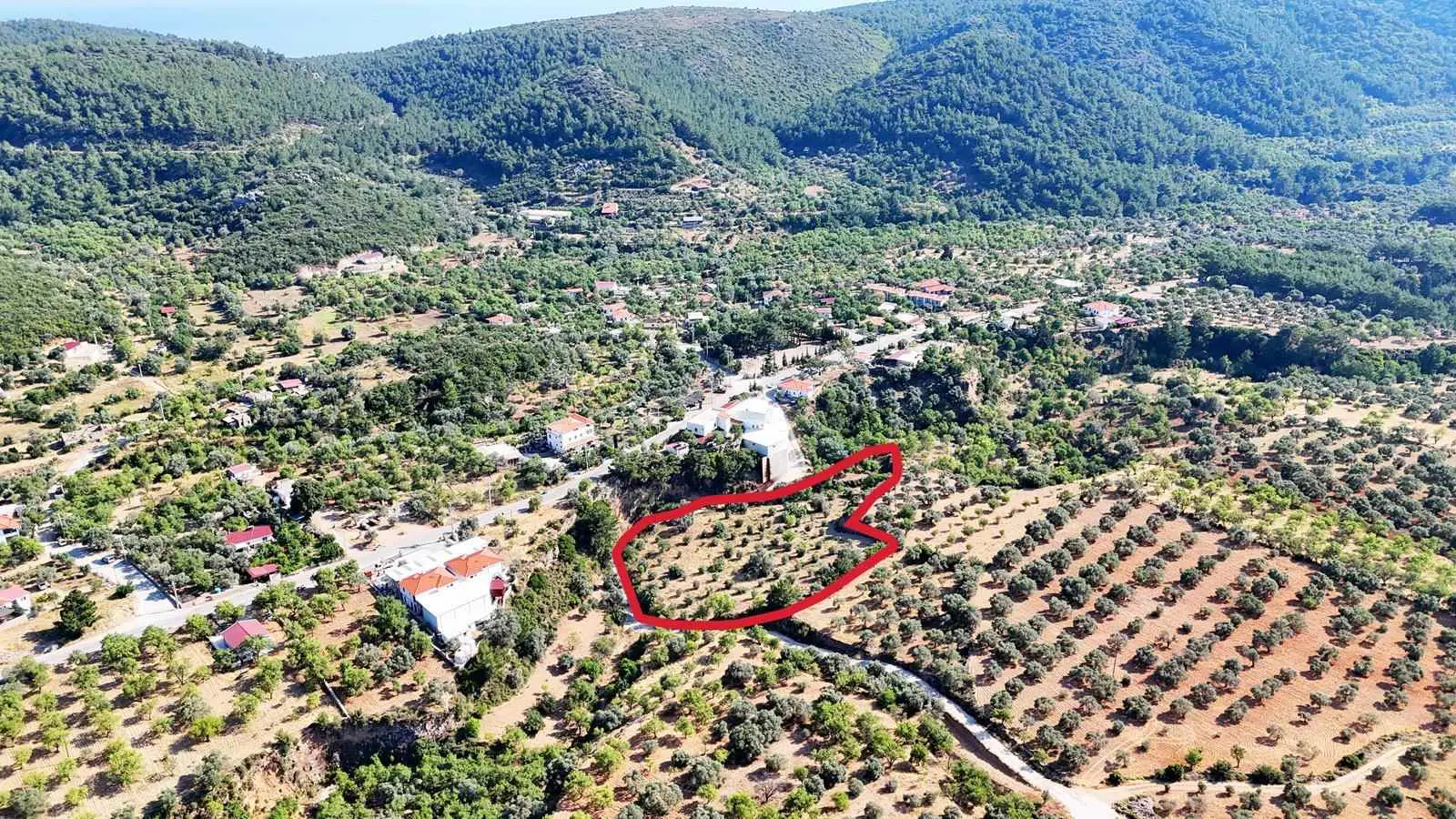 Property image 17