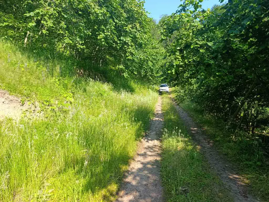 YOMRA KÖMÜRCÜ'DE SAHİLE 8KM MEDAFEDE EMSALLERİNDEN UYGUN EĞİMİ AZ 2903 METRE ARAZİ