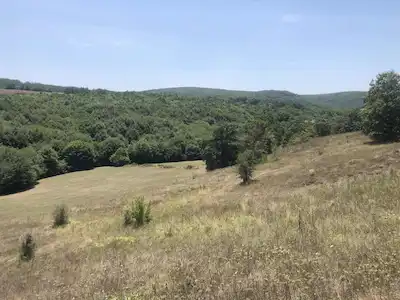 KÖRFEZ SİPAHİLER KÖYÜ SATILIK TARLA