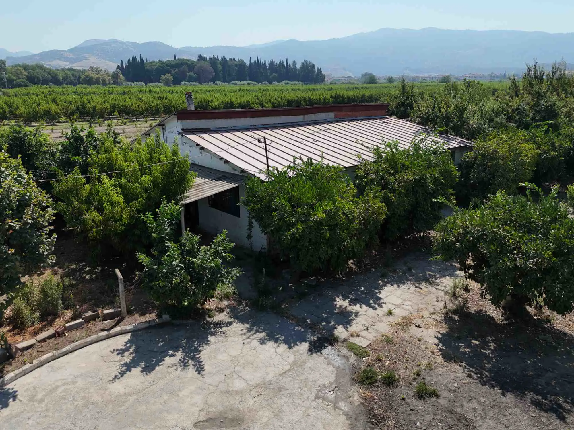 Property image 22