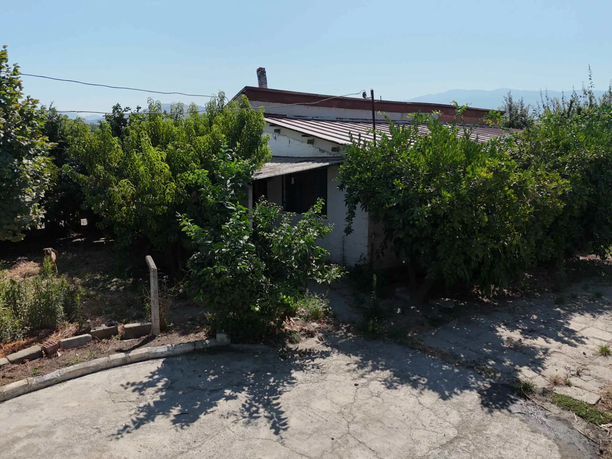 Property image 21