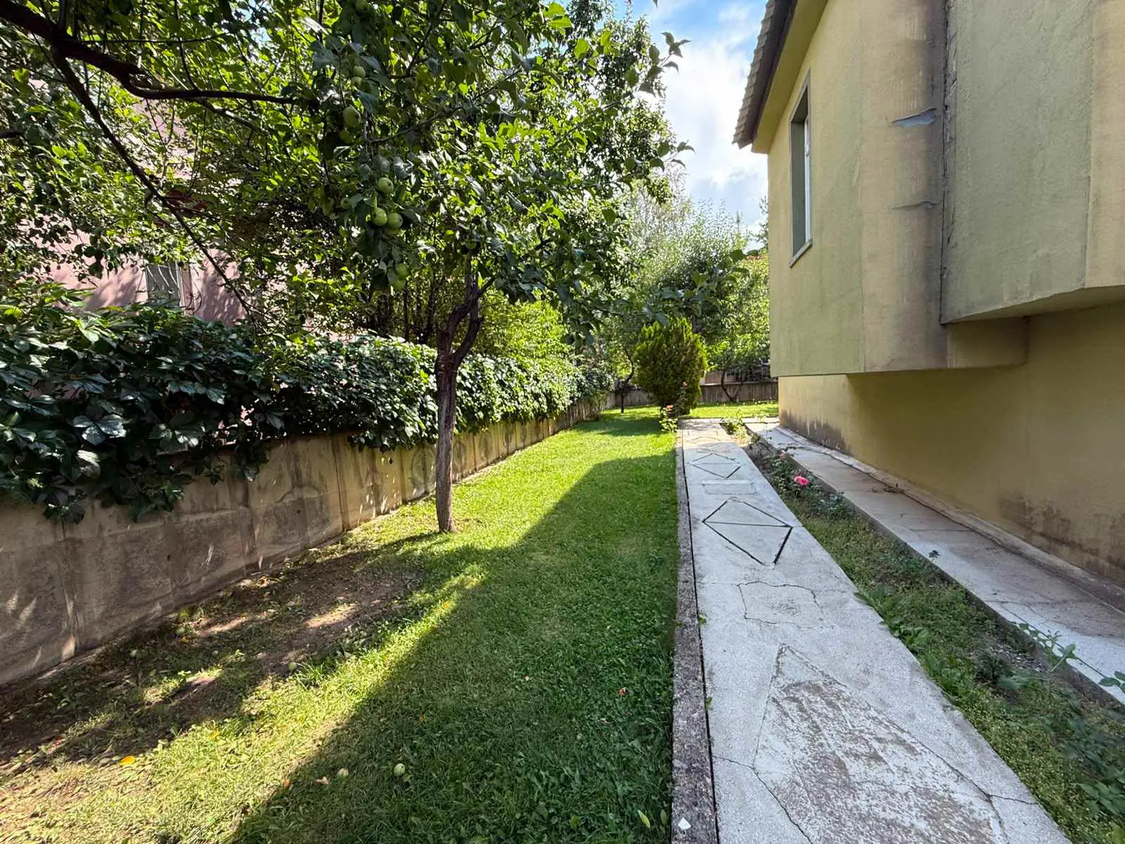 Property image 30