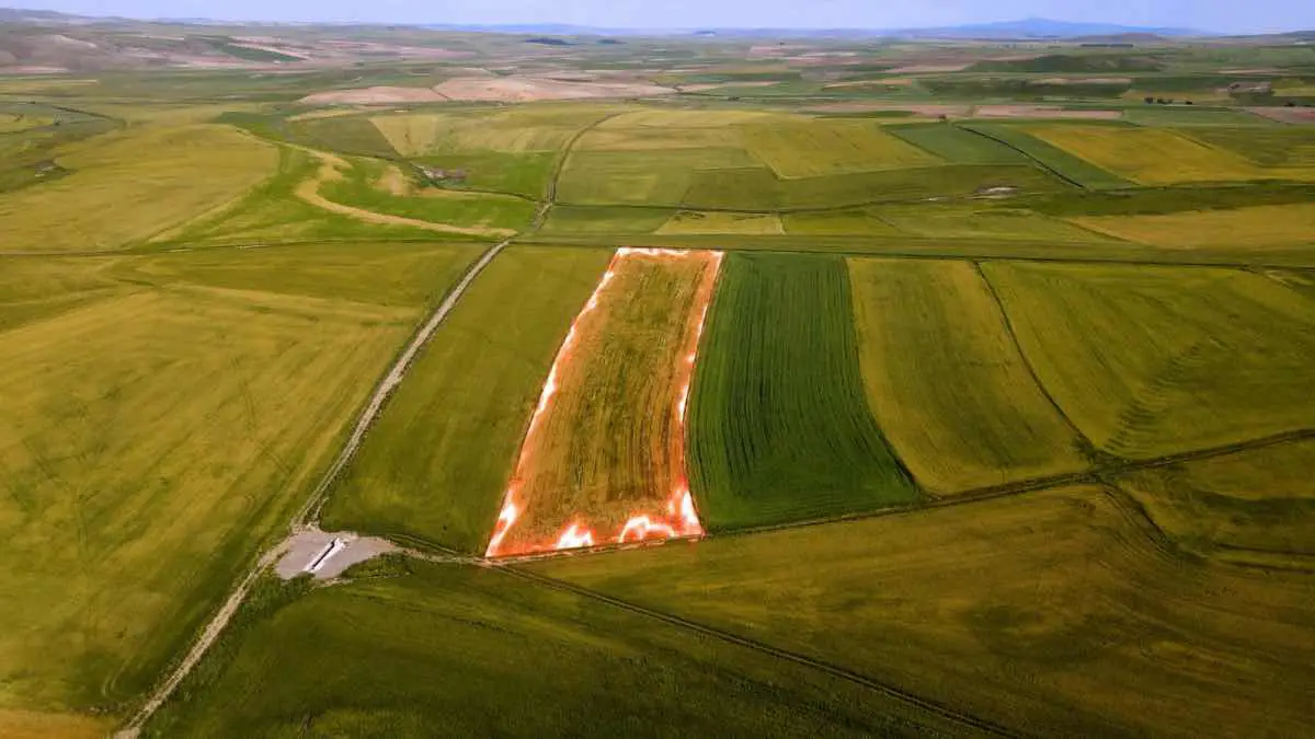 GÖLBAŞI BOYALIKTA TEK TAPU 17.074 M2 TARLA KÖK TAPU