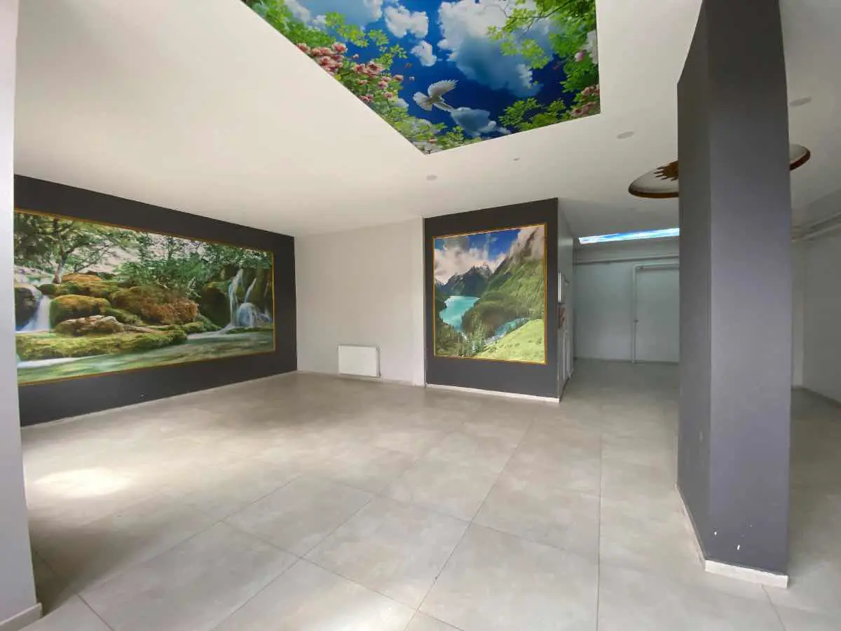 Property image 27