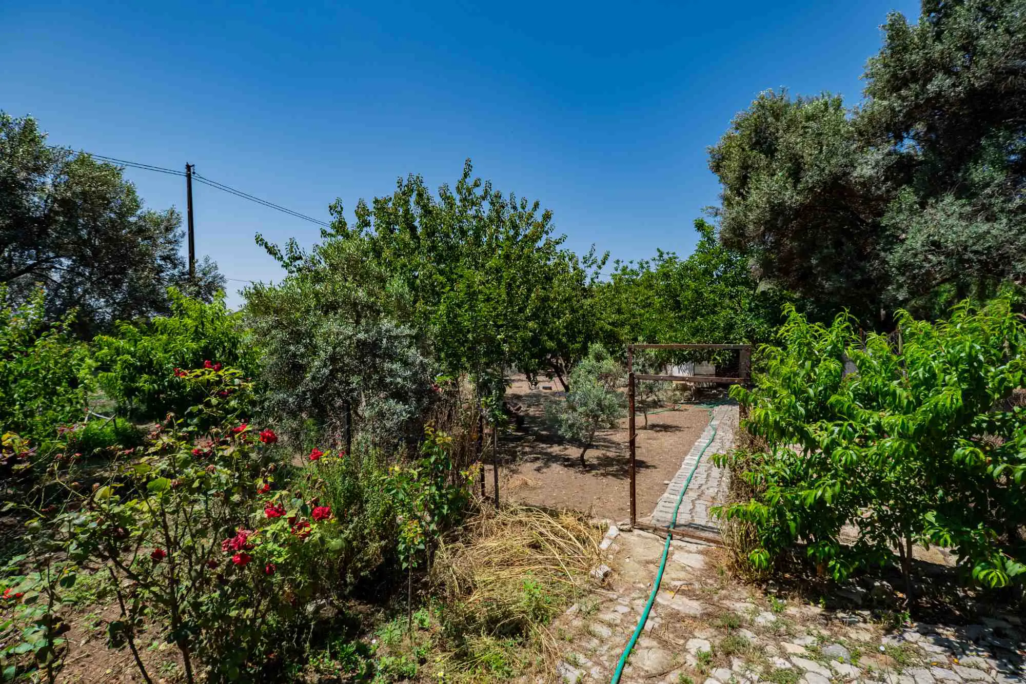 Property image 27