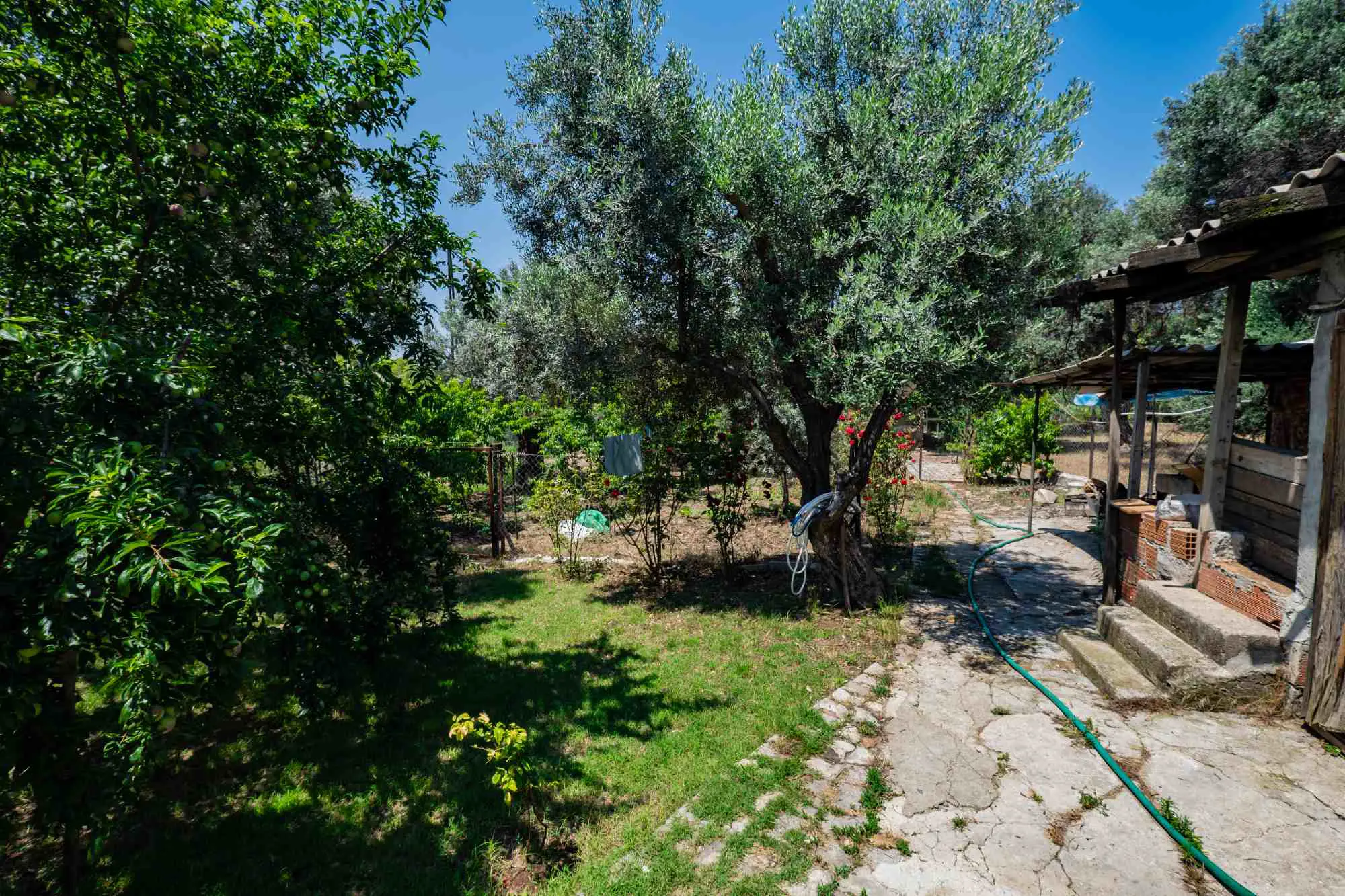 Property image 26
